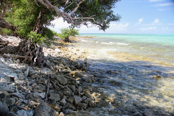 Hakautu'utu'u