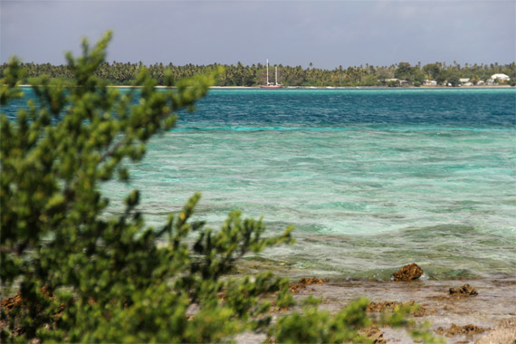 Hakautu'utu'u