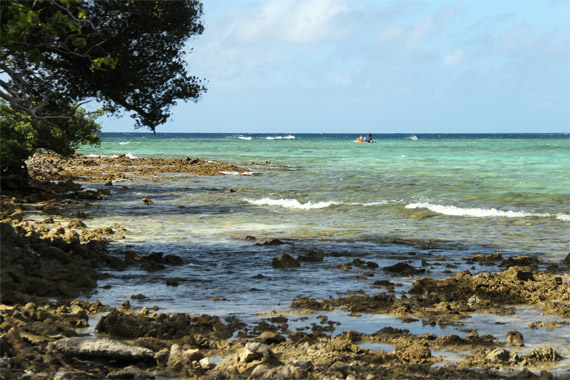 Hakautu'utu'u